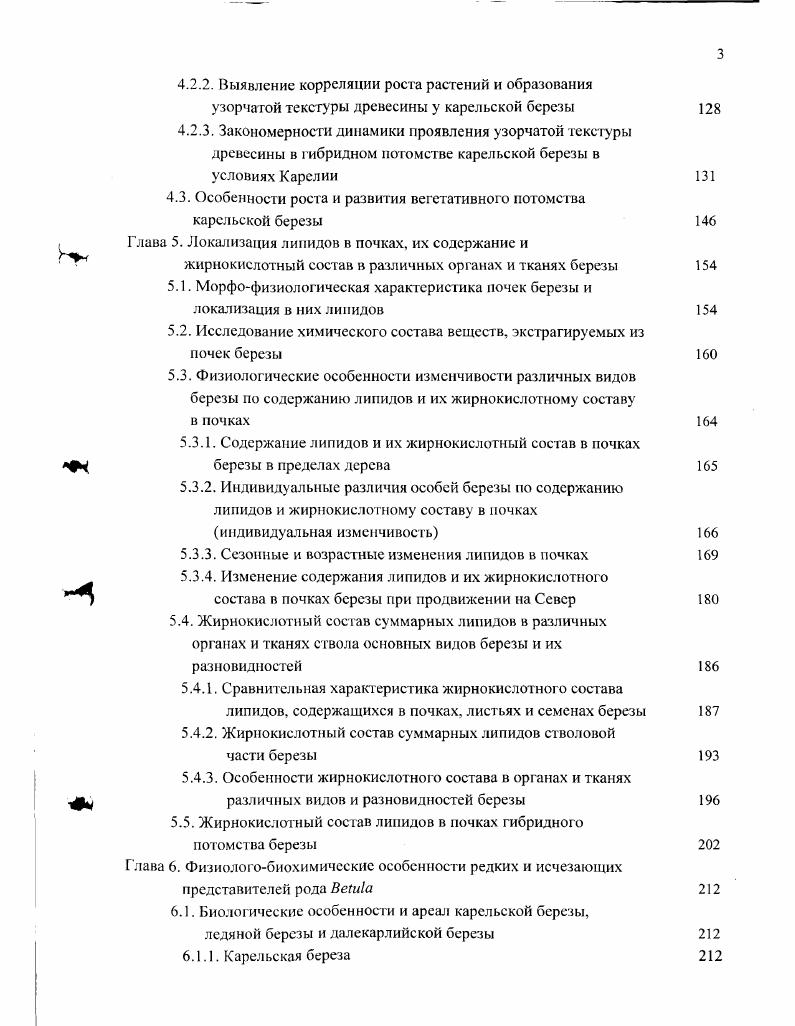 1.2. Особенности адаптации березы в условиях Севера