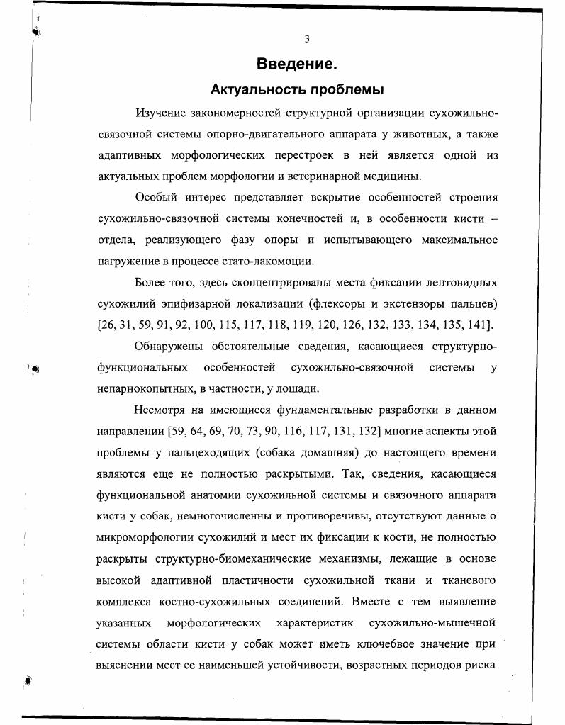 1. 3 Морфофункциональная характеристика сухожилий мест