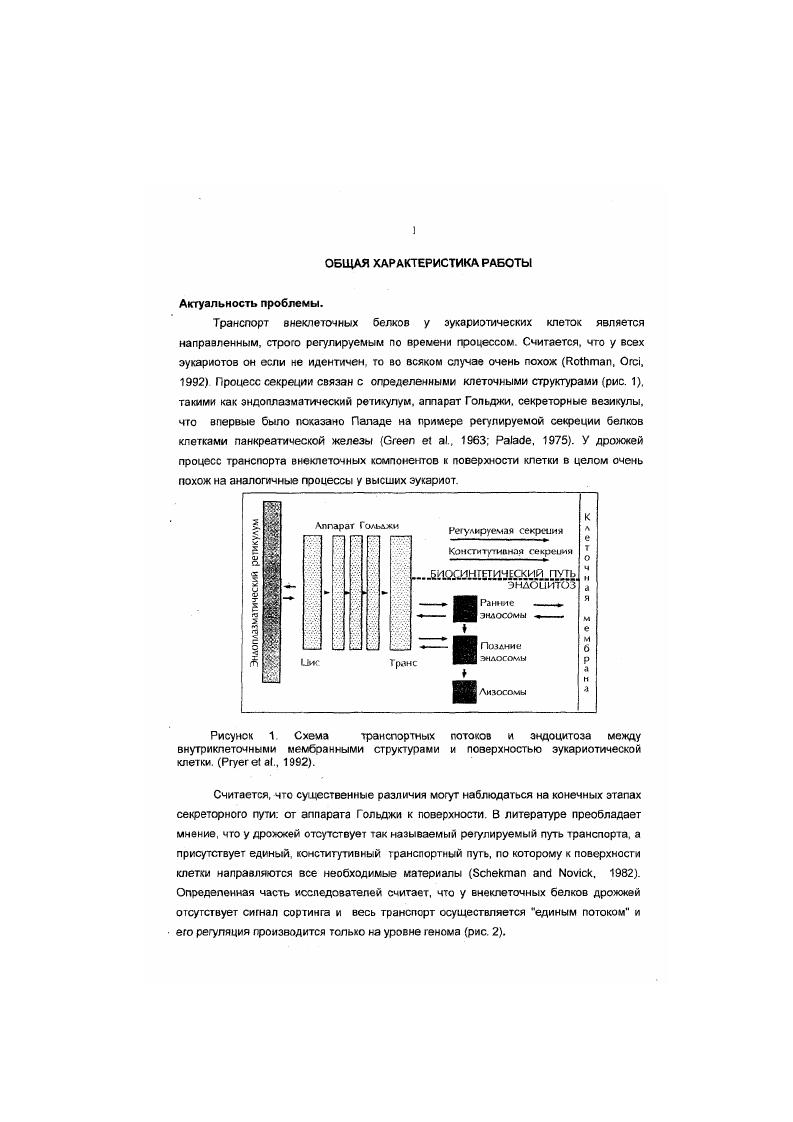 чгенкорреспондент РАН, доктор биологических