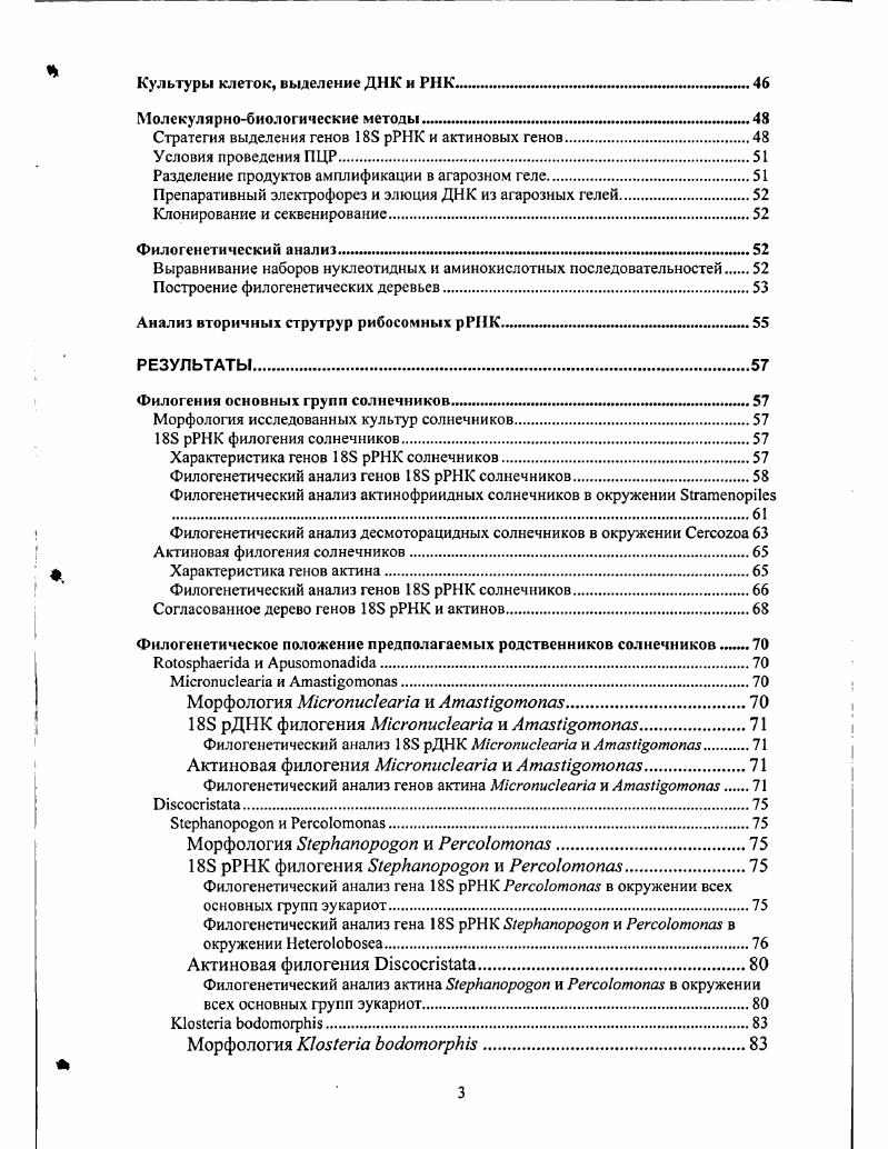 Современные взгляды на эволюцию эукариот.