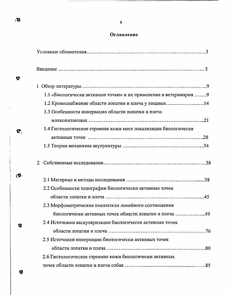 1.2 Кровоснабжение области лопатки и плеча у хищных.