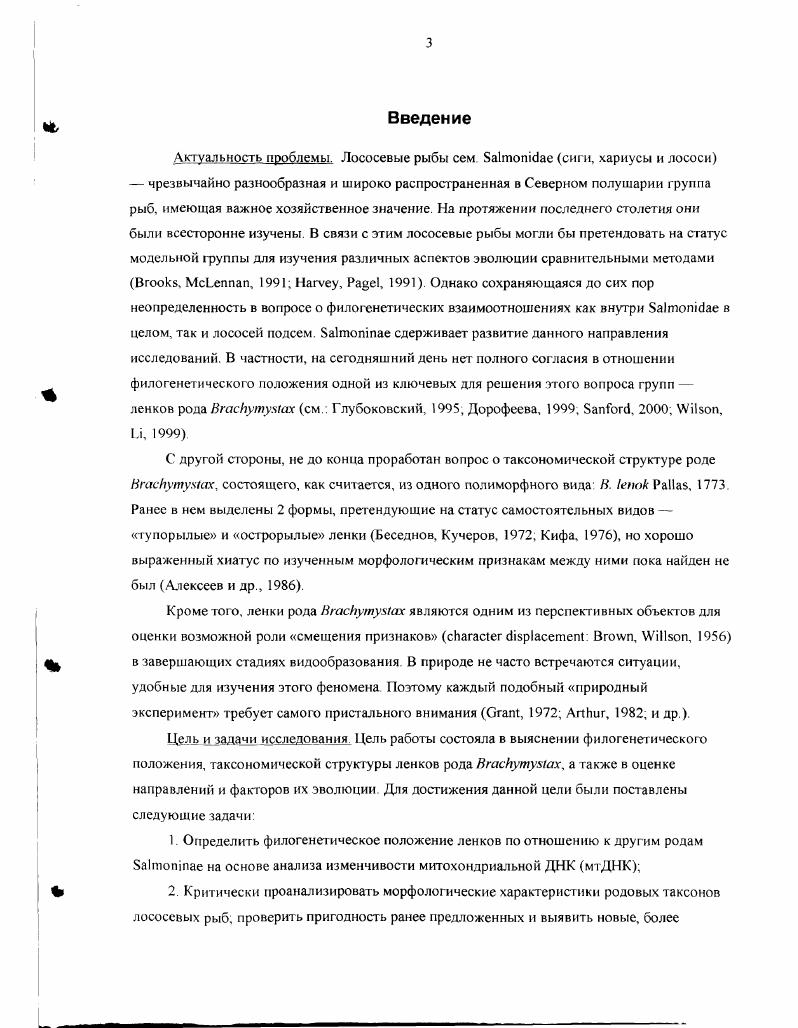 1.1. Филогенетическое положение ленков 