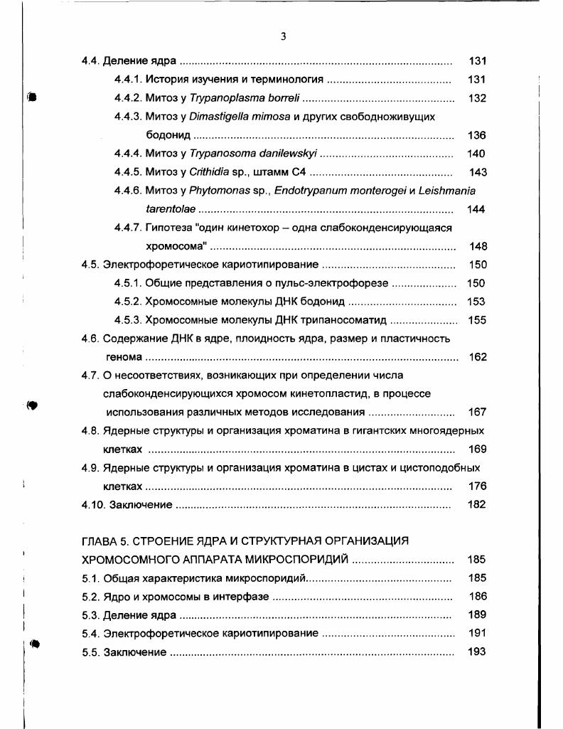 2.1. Морфология, ультраструктура и молекулярная организация ядра 