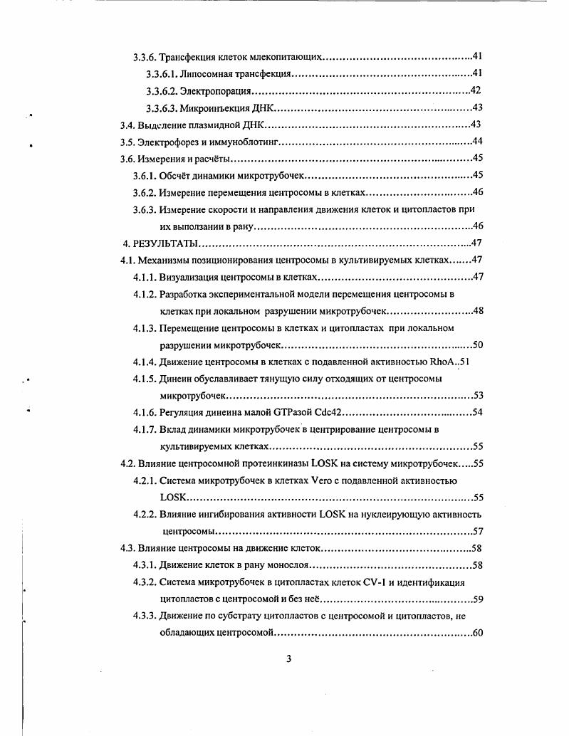 Ещ в ранних исследованиях было отмечено, что концы микротрубочки неравнозначны и конец с меньшей константой диссоциации тубулина был назван плюсконцом, а с большей минусконцом. С помощью антител к различным пептидам тубулина было установлено, что на минусконце находится атубулиновая субъединица, а на плюсконце тубулиновая , . Разница в константе ассоциации тубулина с минус и плюсконцами микротрубочки и участие ГТФазы тубулина во взаимодействии молекул тубулина создат своеобразие и сложность поведения микротрубочек i vi и i viv. Микротрубочки i viv находятся в динамическом равновесии со свободным тубулином клеток. I vi микротрубочки полимсризуются в растворах тубулина, и система также приходит к динамическому равновесию, характеризующемуся соотношением микротрубочки растворенный тубулин и средней длиной микротрубочек. Характер обмена тубулина в микротрубочках зависит от концентрации свободного тубулина. В больших концентрациях тубулина возможно нарастание микротрубочки с обоих концов, что реализуется, вероятно, при начале сборки микротрубочки i vi. Существует интервал концентраций тубулина, в котором на плюсконце микротрубочки идт в основном присоединение субъединиц, а на минусконце в основном отсоединение. При этом должно наблюдаться псевдопередвижение микротрубочек тредмиллинг, когда каждая точка микротрубочки неподвижна, но сама микротрубочка передвигается в направлении своего плюсконца. Английское слово ii в словарях переводится русским словом топчак и означает хождение лошади по кругу при производстве, например, молотьбы хлеба или при откачке воды из шахты. Реальное существование тредмиллинга микротрубочек было показано сначала i vi i i, , затем и i viv iv i, при прижизненных наблюдениях микротрубочек в клетках, инъецированных флуоресцентно меченым тубулином. Тредмиллинг оказывается, таким образом, естественным состоянием микротрубочки после достижения равновесия системы в концентрации тубулина, существующей i viv. При более низкой концентрации свободного тубулина наблюдается так называемая динамическая нестабильность микротрубочек периодическая сборка и разборка, происходящие на плюсконце. Нарастание плюсконцов микротрубочки, сменяющееся через секунд их укорочением, а затем вновь нарастанием, является основным способом обмена микротрубочек практически во всех исследованных клетках, имеющих центросому например, , . Минусконец большинства микротрубочек при этом закреплн на центросоме, что, вероятно, и снижает равновесную концентрацию тубулина в системе по сравнению с системой с двумя свободными концами микротрубочки поскольку константа связывания тубулина на плюсконце микротрубочки больше, чем минусконце. Минусконец свободных микротрубочек в клетках, имеющих центросому, почти постоянно находится в состоянии разборки. Часто в клетках можно наблюдать тредмиллинг отдельных свободных микротрубочек, сменяющийся через некоторое время их разборкой с обоих концов и исчезновением Vv , , . Это показывает, что тредмиллинг и динамическая нестабильность могут существовать в одной системе и вопрос состоит только в том, насколько плюсконец микротрубочки в тех или иных условиях оказывается способным к разборке. На конце растущих микротрубочек i viv и i vi образуется слой молекул тубулина, ещ не успевшего гидролизовать ГТФ, поскольку скорость гидролиза ГТФ тубулином меньше, чем скорость его встраивания в мнкротрубочку. Такой ГГФколпачок стабилизирует микротрубочку, причм для этого достаточно слоя ГТФтубулина толщиной в одну молекулу , . При динамической нестабильности разборка микротрубочки так называемая катастрофа начинается, если весь тубулин на плюсконце микротрубочки в силу случайного недостаточного поступления новых молекул ГТФтубулина оказывается в форме ГДФтубулина. При разборке микротрубочки ситуация обратная поскольку встраивание ГТФтубулина в микротрубочку не прекращено, может образоваться ГТФколпачок и микротрубочка перейдт к росту произойдт так называемое спасение. Между сборкой и разборкой микротрубочки существует также промежуточное состояние покоя . 
