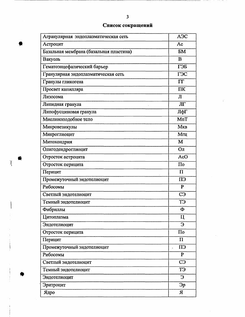 Базальная мембрана кровеносных капилляров 
