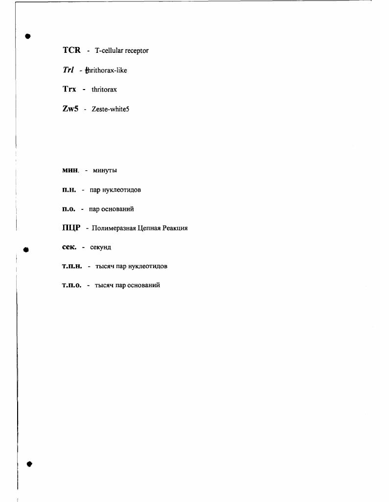 П.О. ВВЕДЕНИЕ. БР ЛИТЕРАТУРЫ. КУРИНЫЙ РГЛОБИНОВЫЙ ИНСУЛЯТОР. СТРУКТУРНЫЕ МОДЕЛИ. ТРАНСКРИПЦИОННЫЕ МОДЕЛИ. И ПОЛУЧЕНИЕ ТРАНСГЕННЫХ ЛИНИЙ. ФЕНОТИПИЧЕСКИЙ АНАЛИЗ ЭКСПРЕССИИ ГЕНОВ И iii В ТРАНСГЕННЫХ ЛИНИЯХ. БИОХИМИЧЕСКИЕ МЕТОДЫ. ВЫДЕЛЕНИЕ ДНК ИЗ ДРОЗОФИЛЫ. САУЗЕРНБЛОТ АНАЛИЗ. МЕТОД ПОЛИМЕРАЗНОЙ ЦЕПНОЙ РЕАКЦИИ ПЦР. МОЛЕКУЛЯРНОЕ КЛОНИРОВАНИЕ. ТРАНСФОРМАЦИЯ БАКТЕРИАЛЬНЫХ КЛЕТОК ПЛАЗМИДАМИ. ВЫДЕЛЕНИЕ ДНК ПЛАЗМИД МЕТОДОМ ЩЕЛОЧНОГО ЛИЗИСА. РЕЗУЛЬТАТЫ. МОДЕЛЬНАЯ СИСТЕМА ДЛЯ АНАЛИЗА ФУНКЦИОНАЛЬНОГО ВЗАИМОДЕЙСТВИЯ МЕЖДУ БЕЛКАМИ ИНСУЛЯТОРОВ. БЕЛКАМИ. ИНСУЛЯТОРА И САЙТАМИ СВЯЗЫВАНИЯ ДЛЯ БЕЛКА. САЙТЫ СВЯЗЫВАНИЯ ДЛЯ БЕЛКА ЧАСТИЧНО НЕЙТРАЛИЗУЮТ БЛОКИРОВАНИЕ ГЛАЗНОГО ЭНХАНСЕРА ИНСУЛЯТОРОМ. ВЗАИМОДЕЙСТВИЕ МЕЖДУ БЕЛКАМИ И 4 ПРИВОДИТ К НЕЙТРАЛИЗАЦИИ ИНСУЛЯТОРА В КОНСТРУЮ ЩИ 8. В КОНСТРУКЦИИ 8. ФРАГМЕНТ УСИЛИВЧЕТ РЕПРЕССИЮ ГЕНА . ИНСУЛЯТОРОМ В ПРИСУТСТВИИ ГОМОЗИГОТНОЙ МУТАЦИИ 4. НЕЙТРАЛИЗАЦИЯ ИНСУЛЯТОРА 8 ФРАГМЕНТОВ МОЖЕТ ПРОИСХОДИТЬ ПО НЕСКОЛЬКИМ МЕХАНИЗМАМ. РОЛЬ ВЗАИМОДЕЙСТВИЯ МЕЖДУ МУЛЬГИМЕРНЫМИ БЕЛКОВЫМИ КОМПЛЕКСАМИ В ИНСУЛЯЦИИ НА ПРИМЕРЕ ВЗАИМОДЕЙСТВИЯ МЕЖДУ САЙТАМИ. АНАЛИЗ СУЩЕСТВУЮЩИХ МОДЕЛЕЙ ДЕЙСТВИЯ ИНСУЛЯТОРОВ С ТОЧКИ ЗРЕНИЯ ПОЛУЧЕННЫХ РЕЗУЛЬТАТОВ. 