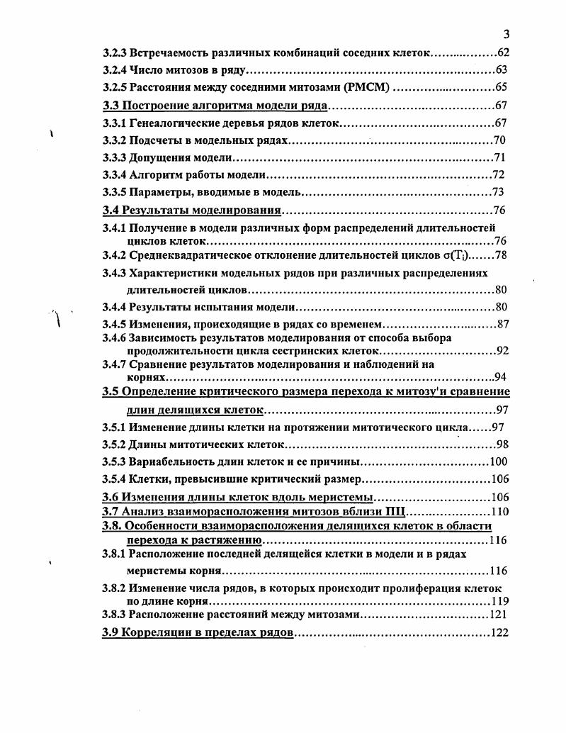 1.3 Общая схема пролиферации клеток в апикальной меристеме корня.
