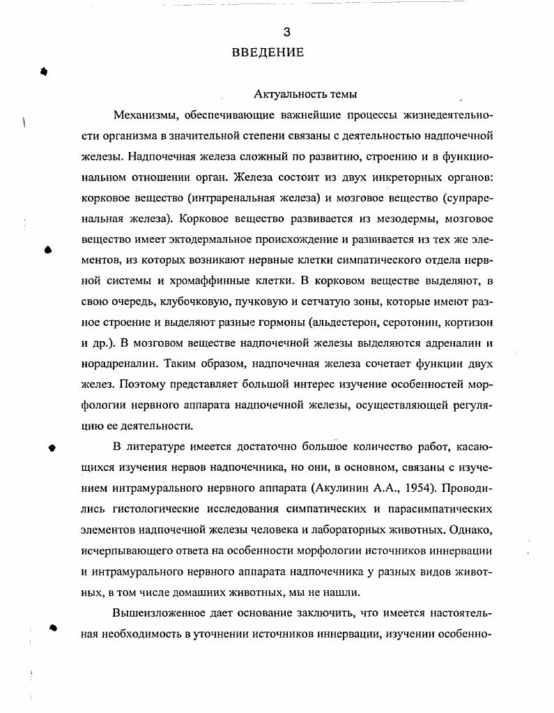 2.2. Микроморфология нервных волокон экстраорганных нервов надпочечниковых желез