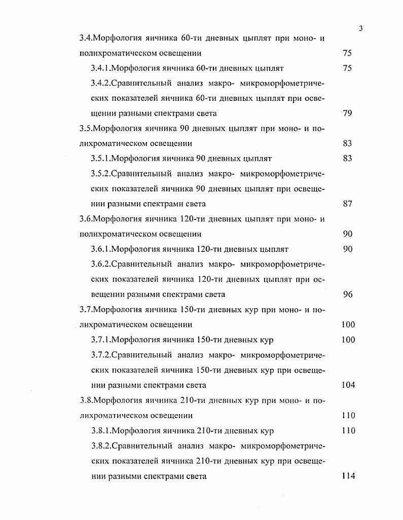1.1.2.Гистологическое строение яичника половозрелых птиц 