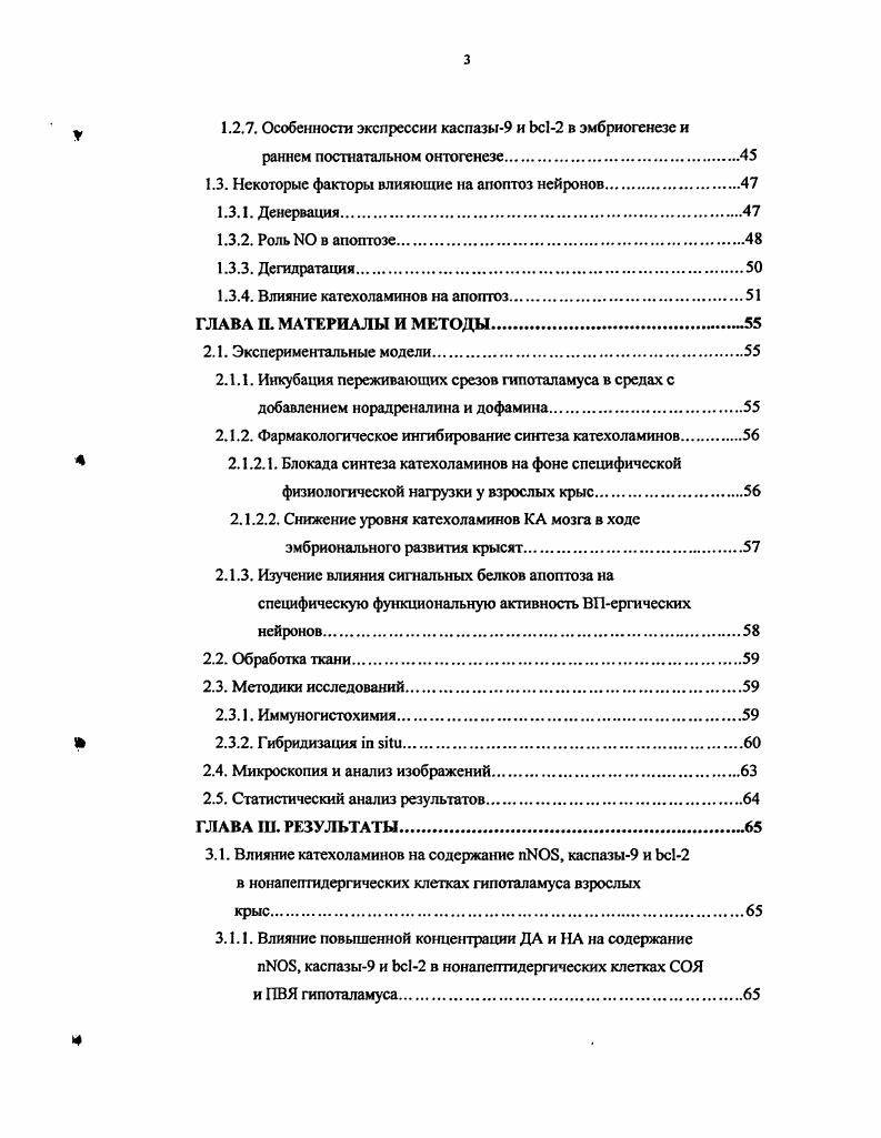 1.1.1. Морфофункциональная характеристика нонапептидергических центров гипоталамуса