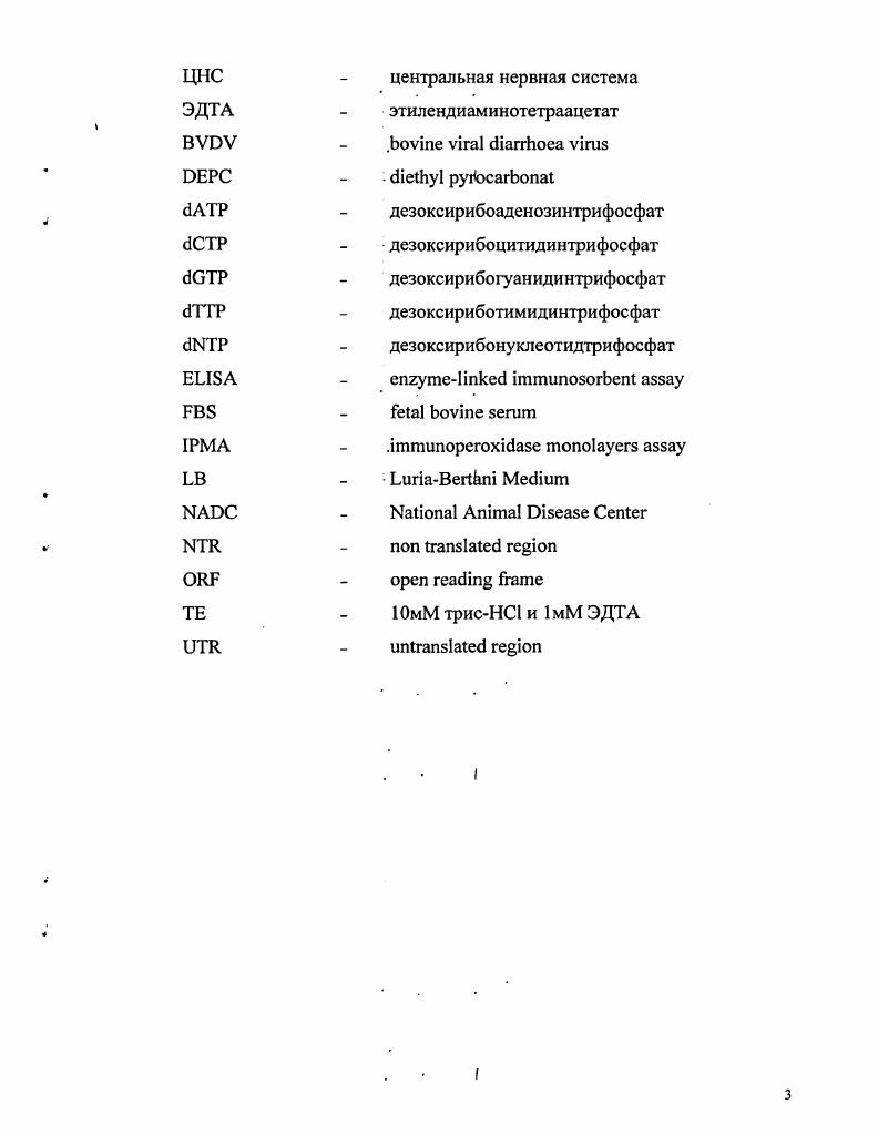 КК культура клеток
