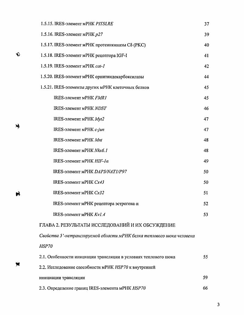 1.2. Внутренняя инициация трансляции