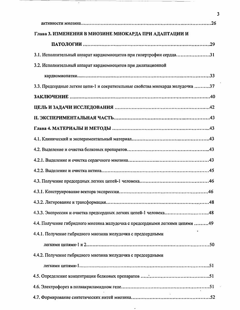 1.1. Структура молекулы сердечного миозина