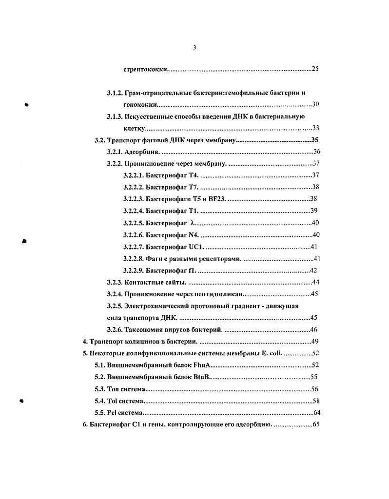 . Анализ инактивации бактериофага. ПЦР амплификация рибосомальных фрагментов. IV. РЕЗУЛЬТАТЫ. Бактериофаг С6. Идентификация рецептора для С6. С1 и С6. Принципы, лежащие в основе новой системы прямого отбора рекомбинантных плазмид с возможностью последующей интеграции клонированного фрагмента в хромосому. Примеры клонирования фрагментов ДНК, содержащих ген ША придаст клетке устойчивость к тетрациклину и участка генома фага 3 придает клетке устойчивость к некоторым лямбдоидным фагам. ГеА и участок хромосомы фага 3. VI. ВЫВОДЫ. VII. Актуальность темы. Механизмы транспорта различных веществ внешней среды через оболочку бактерий, таких как сахара, аминокислоты, комплексы железа, витамины, антибиотики, нуклеиновые кислоты интересуют ученых с давних пор. И этот интерес не ослабевает, подогреваясь интересом создания искуственных мембран. Именно поэтому в последние годы предпринимаются значительные усилия 0 изучению функций, синтеза, химического состава структурных компонентов оболочки грамотрицательных бактерий, особенно, ii i и i. Транспорт различных веществ внешней среды через мембраны бактерий осуществляется специфическими транспортными белками. Сравнение их структуры и аминокислотных последовательностей указывает на консерватизм данных макромолекул не только бактерий, но также многих транспортеров клеток животных. Таким образом, изучение бактериальных транспортных систем исключительно важно для нашего понимания общих механизмов переноса веществ через клеточную мембрану. Наличие общих структурных мотивов и эволюционирующих областей предполагает, что многие транспортеры содержат центральный модуль, образующий трансмембранный канал, через который растворенные вещества могут проникать в клетку. Механизмы энергизации можно рассматривать как вторичные характеристики, добавленные к этим фундаментальным транспортирующим единицам. Следствием широкомасштабного использования антибиотиков в медицине стало возникновение и распространение патогенных штаммов бактерий, обладающих устойчивостью ко многим из них. В связи с этим в последнее время ожила идея фаготерапии, т. Одной из функций хвостовых белков фага является опознавание специфических участков рецептора, находящегося в клеточной оболочке. Это первый этап взаимодействия клетки и фага, предшествующий инъекции вирусной ДНК внутрь клетки. Обычно один фаг узнает только один белок внешней мембраны, но существуют и исключения, когда фаг может использовать два или три различных белка в качестве рецепторов Могопа Я. Вторым этапом инфицирования является инъекция ДНК фага внутрь клетки. Для этого некоторым вирусам необходимы дополнительные белки внутренней мембраны или периплазмы. Одним из способов, позволяющим находить минорные, несущественные в лабораторных условиях белки мембран, является изучение бактериальных мутантов, дефектных но адсорбции соответствующих фагов и транспорту бактериоцинов. В.Н. Крылов. Цель и задачи исследования. Новизна результатов. I и С6 обладают способностью к обшей трансдукции. 