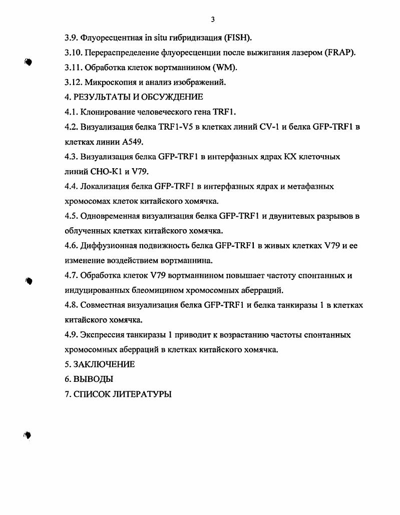 Недавно был открыт один из специальных механизмов защиты теломер млекопитающих. Ключевую роль в этой защите играют теломерные белки 1 и 2, которые связываются с терминальными повторами и формируют двунитевую петлю ДНК называемую Тпетлей, размером 2 п. Эта петля защищает ДНК от негомологического воссоединения концов НВК и от слияния теломер обзор , . Белок 1 был изначально идентифицирован как теломерный белок, связывающийся с повторами . Другой, почти идентичный ему белок, был выделен как регуляторный фактор клеточного цикла i2 . Оба эти белка, по всей видимости, представляют собой продукты альтернативного сплайсинга одного и того же гена ii , . Значимость обнаруженной инсерции в аминокислот в 1 не установлена, так два эти белка неразличимы по локализации и способам функционирования . У человека 1i2 непосредственно фосфорилируется киназой по серину в положении 9, i vi и i viv ii . Это позволяет предположить, что АТМзависимое фосфорилирование 1 может подавлять слияние теломер. Функция 1 регулируется белком I2 i . I2 увеличивает 1зависимое спаривание теломерных повторов. Кроме того, I2 является негативным регулятором длины теломер i , . Сверхэкспрессия 1 вызывает элонгацию теломер i , . Белок 1 способен индуцировать латеральное спаривание повторов i vi ii . Другим белком, связывающимся с повторами , является белок 2 i . Кроме того, 2 выполняет уникальную функцию стабилизирует У выступающий однонитевой конец ДНК и предотвращает тем самым слияние концов теломер v . Белок 2 непосредственно связывается с тандемной областью удвоенных повторов . Помимо этого, он связывается с ДНК в основании Т петли в том сайте, где нить внедряется в двунитевую спираль ДНК, и тем самым поддерживает образование и стабилизацию Тпетли обзор i, . Было показано, что 2 привлекает в теломеры человека белок . Этот белок гомологичен дрожжевому белку 1 и его сверхэкспрессия приводит к удлинению теломер i . Этот комплекс, образованный белками , и 1, является ключевым компонентом как процесса гомологической рекомбинации ГР, так и негомологического воссоединения концов. Известно, что у дрожжей удаление этого комплекса приводит к укорачиванию теломер . Xi v, . Изучение мышей, дефицитных по белку и ДНКпротеинкиназе показало, что эти белки также играют существенную роль в функционировании теломер млекопитающих i . Суммируя вышесказанное, можно сказать, что стабильность теломер обеспечивается большим и сложным комплексом белков и что два из них 1 и 2, являются основными факторами сиквенсспецифического контроля теломер в соматических клетках млекопитающих. Другие сиквенсспецифические белковые комплексы, связывающиеся с повторами , были выявлены в сперме млекопитающих . Помимо теломерной локализации, была показана и внутрихромосомная локализация последовательностей , большие блоки которых в перицентромерных и внутрихромосомных областях хромосом были обнаружены у изученных видов позвоночных . Эти внутрихромосомные последовательности у китайского хомячка, например, составляют около 5 всего генома . Недавно сообщалось, что кроме обширных и протяженных участков повторов у китайского хомячка КХ существуют также короткие внутрихромосомные последовательности ВТП, вкрапленные в АТбогатые участки ДНК и ретропозоны vi . Поскольку, как известно, АТбогатые последовательности ДНК нестабильны и характеризуют некоторые, так называемые фрагильные сайты у млекопитающих, было высказано предположение, что ВТП были вставлены в эти сайты в процессе репарации двунитевых разрывов vi . Хромосомные области, содержащие последовательности, как известно, являются горячими точками хромосомных перестроек, как индуцированных облучением, так и спонтанных, в культивируемых клетках v . Известно также, что внедрение повторов в гены млекопитающих ведет к частым хромосомным перестройкам, включающим эти повторы i . Причины повышенной нестабильности в последовательностях неясны, но китайский хомячок и другие виды содержат ВТП в своих хромосомах на протяжении миллионов лет, что свидетельствует о наличие защиты этих блоков от хромосомных перестроек в норме. 
