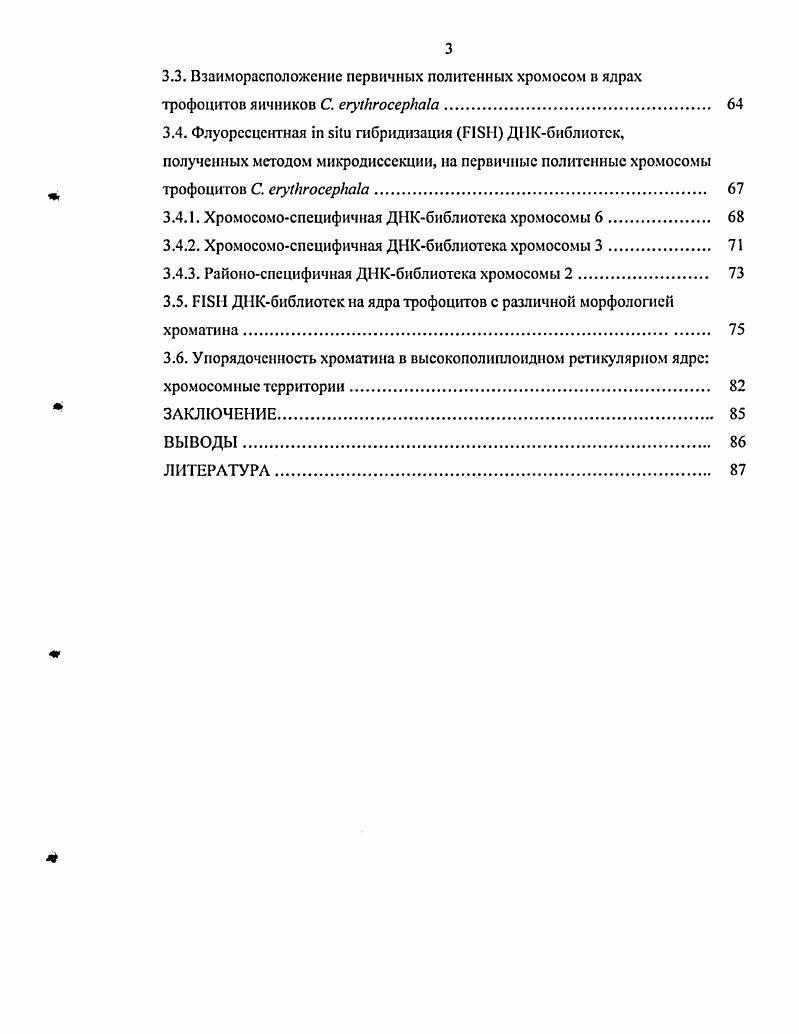 1.1.3. Пространственная организация политенных хромосом трофоцитов 