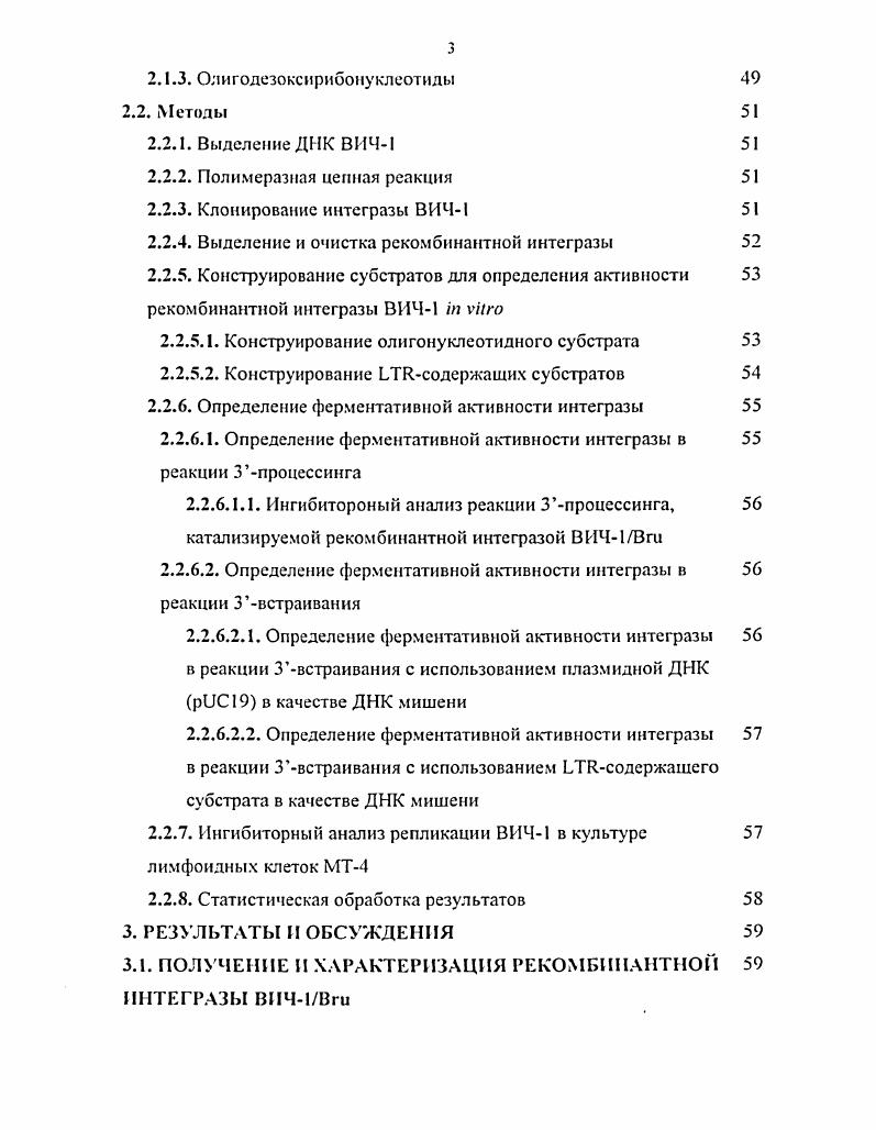 1.1.2. Структура ретровирусной интегразы 