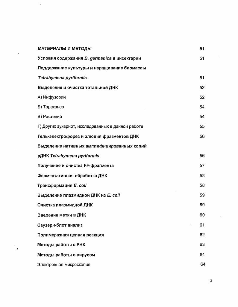 1.2 Организация рибосомных генов в геноме эукариот 