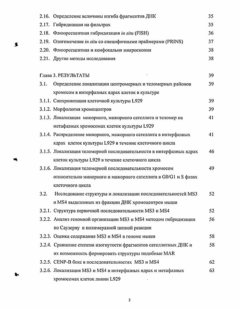 1.2. Особенности структуры сателлитноГ. ДНК 