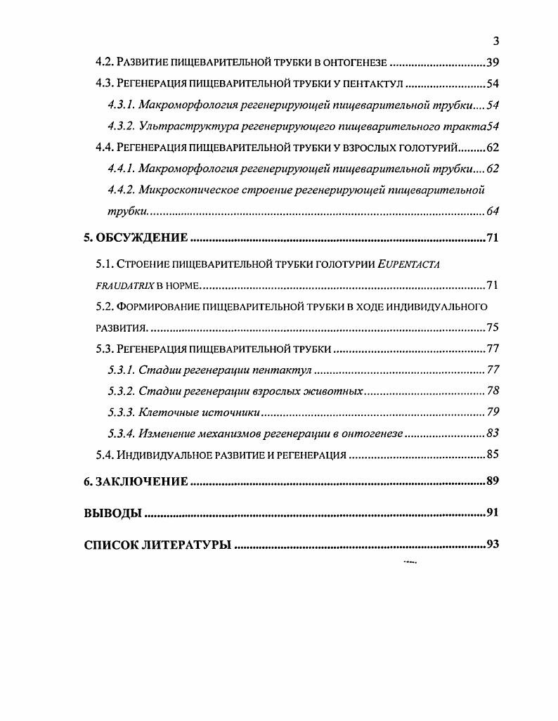 2.2. Морфофункциональная ОРГАНИЗАЦИЯ ПИЩЕВАРИТЕЛЬНОГО тракта у ВЗРОСЛЫХ ГОЛОТУРИЙ