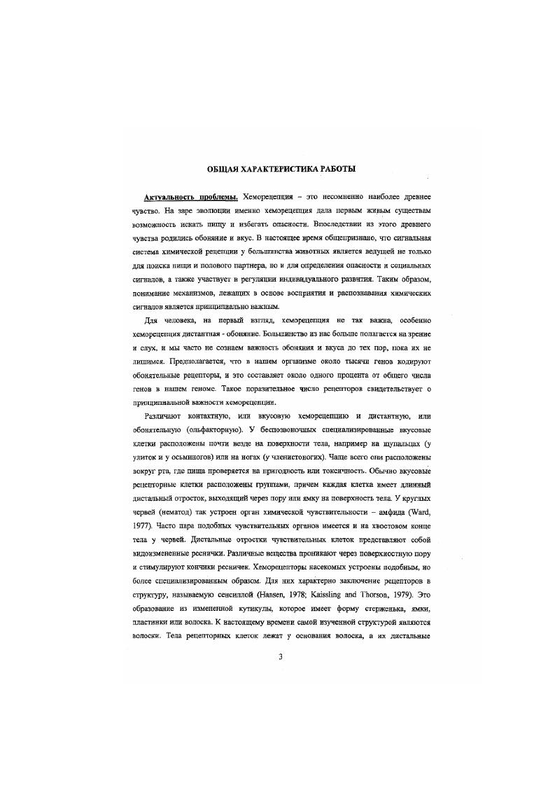 Наличие этих качеств было впервые установлено в начале прошлого века, и с тех пор это представление господствует в понимании вкусовых механизмов. Соленый вкус создастся в самом чистом виде хлористым натрием. Считается, что катионы оказывают на рецепторные мембраны возбуждающее действие, а анноны тормозное. Кислый вкус создается кислотами Он может объясняться действием иона водорода в случае нсораничесхкх кислот, но может также определяться действием аниона органических кислот. Сладкий вкус, как полагают, зависит от стсреохнмичсской конфигурации глюкозы и близких к ней органических молекул. Для горького вкуса характерно, что он вызывается ядовитыми токсичными веществами, например, хинином. Механизм их действия неизвестен возможно, он яокатизован на поверхностной мембране или же внутри клетки , i, . Тот факт, что соответствующие вкусовые ощущения вызываются преимущественно но не исключительно с разных участков языка, казалось бы, говорит о том, что каждый такой участок может быть основой меченой линии, несущей в мозг информацию о своей специфической модальности. Одиахо записи от одиночных волокон в барабанной струпе, полученные в г. Гфаффиеном показати, что это не гак. Одиночное волокно может лутаю всего отвечать на один стимул, по оно обычно в той или иной степени реагирует и на другие типы стимуляции. Это говорит о том, что данное волокно синаи и чески езязано во вкусовой почке с несколькими рсцешорньши клетками разной специфичности. Пфаффмая предпотюжил, чпо в такой системе сенсорное качество определяется не просто активацией известной группы волокон, но п характером им пульсации других активных групп. Эта теория вкусовых качеств получила название теории распределения активности между волокнами . В настоящее время представление о восприятии вкуса объединяет в себе обе теории и меченой линии, я распределения активности между волокнами. Четыре основных вкусовых качества попрежнему служат простейшей схемой дня объяснения большинства физиологических и психических данных. В пределах этой схемы представляется, что и специфические рецепторные клетки, н вкусовые почки, и волокна барабанной струны обладают каждый своим собственным стимулом, но на каждом из этих уровней может существовать в разной степени реактивность к стимулам других типов , . Что касается дистантной хеморецепции, то источником запахов является практически все. Растения, хищники, добыча, другие особи того же вида все это испускает запахи, которые животному необходимо распознавать и классифицировать. Разумеется, в процессе эволюции оказалось возможным создать более изощренные слуховые и зрительные системы. Рецепторы для дистантных стимулирующих молекул называют обонятельными ольфакторными, а соответствующую сенсорную модальность обонянием. Можно сказать, что обонятельными рецепторами обладают все организмы. У водных животных стимулирующие молекулы передаются через воду, а у наземных передающей средой служит воздух. Среди беспозвоночных обоняние достигает наивысшею развития у общественных насекомых, Это проявляется чисто анатомически. На передающей сторопс они обладают более чем десятком различных эндокринных желез i, . Принимаются исходящие сигналы рецепторами, большинство из которых обычно сосредоточено в анзеннах уекках парных везнистых придатках на голове насекомого см. Синицына и др. Общее чнело рецепторов в обоих усиках колеблется у разных насекомых от ООО до 0 0. Как и во вкусовых рецепторах насекомого, обонятельные сенсорные клетки собраны в сенсиллы, или волоски, по строению очень похожие на вкусовые волоски. Однако волосок может содержать одну или несколько клеток, я каждая клетка обладает несколькими периферическими ресничками дендритами. Обонятельные волоски отличаются также своими системами поверхностных пор. В некоторых случаях пор очень много до 0 на волосок. Каждая пора является наружным отверстием углубления в кутикуле волоска. На дне углубления начинаются трубочки, пронизывающие кугихулярпую стенку и сообщающиеся с пространством внутри оболочки и дендритами рецепторных клеток. 