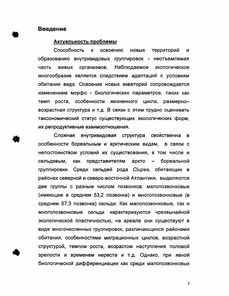3.1 Белое море и условия обитания беломорской сельди.