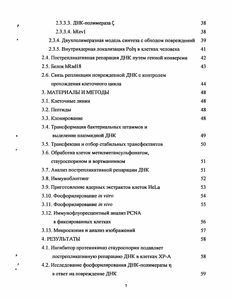  2. Актуальность проблемы. Повреждения ДНК, возникающие в клетках эукариот под воздействием УФоблучения и ряда химических агентов, эффективно удаляются при помощи эксцизионной репарации ЭР i . Однако некоторые повреждения могут оставаться в ДНК к моменту вхождения клетки в фазу. Основные репликативные ДНКполимеразы не способны осуществлять синтез на поврежденной матрице, поэтому при прохождении репликативной вилки через дефектный участок происходит ее блокировка, что ведет к появлению однонитсвых пробелов в дочерней нити напротив поврежденного участка ДНК. Толерантность клетки к такого рода повреждениям, препятствующим завершению раунда репликации, обеспечивается пострепликативной репарацией ДНК ПРР, посредством прямого обхода поврежденных нуклеотидов в матричной нити ДНК или за счет генной конверсии, при которой в качестве матрицы временно используется неповрежденная дочерняя нить сестринского дуплекса ДНК , , . На протяжении последних лет был открыт ряд новых ДНКполимераз, способных осуществлять синтез с обходом повреждений в матричных нитях ДНК , , . ДНКполимераза ц Ро1г относится к группе этих полимераз и катализирует эффективное и точное встраивание остатков дАМФ напротив УФиндуцированных циклобутановых тиминовых димеров а. ДНКполимсраза высокой точностью не обладает . Мутации гена приводят к увеличению риска возникновения рака кожи у пациентов, относящихся к вариантной группе X i XV i . Клетки XV обладают нормальной ЭР, но имеют дефект ПРР, наблюдаемый после облучения УФсветом . Ро в процессе нормальной репликации. Обход повреждений с помощью Ро1г необходим только когда репликативные комплексы останавливаются на повреждениях, блокирующих синтез ДНК. Как было показано, через несколько часов после повреждения ДНК накапливается в фокусах репликации, содержащих заблокированные репликативные вилки . После блокировки репликативных комплексов повреждениями ДНК замещает основную ДНКлолимеразу и катализирует элонгацию вновь синтезируемой нити ДНК на поврежденном участке матрицы, однако механизм, посредством которого Ро1т накапливается в репликативных центрах и взаимодействует с белками репликативного комплекса, неизвестен. В дрожжах . Е2 . ЕЗ еще одного класса ферментов, участвующих в процессе данной постгрансляционной модификации белков , iv, . Предполагается, что белок 6 перемещается к местам заблокированных повреждениями репликативных вилок за счет его взаимодействия с белком i8 i, , . I iдомен АТФзависимая убиквитинлигаза ЕЗ, связывающаяся с однонитевой ДНК i . Было показано также, что при блоке репликации белковый комплекс при участии белков 2 Е2 и 5 ЕЗ убиквитинирует белок , фактор процессивности ДНКполимеразы 5. ПРР . 