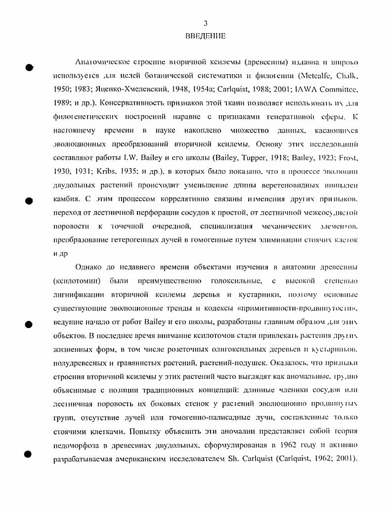 Часть 2. Морфологоанатомическая характеристика рода РсйепйПа