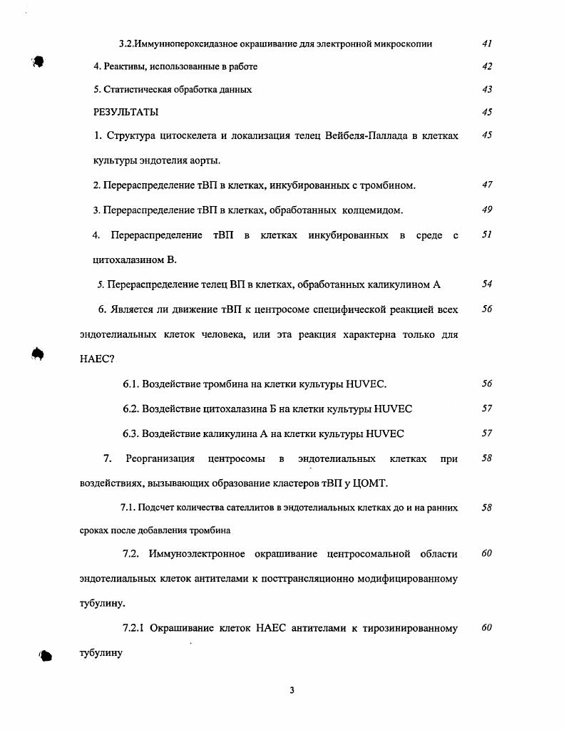 1.1 .Тельца ВейбеляПаллада, фактор Виллибранда. 