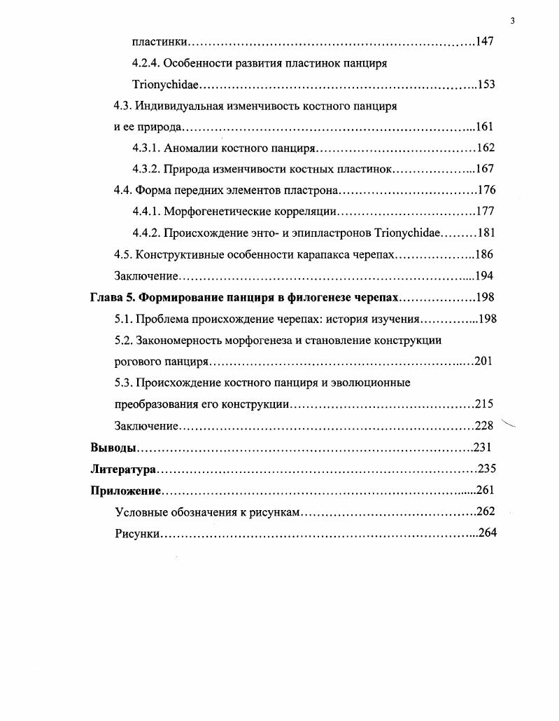 1.1. Средиземноморская черепаха   .