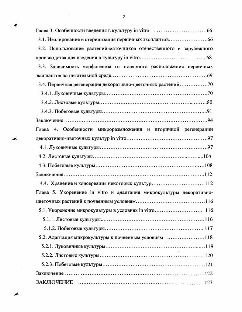 1.2.5. Гиацинт.