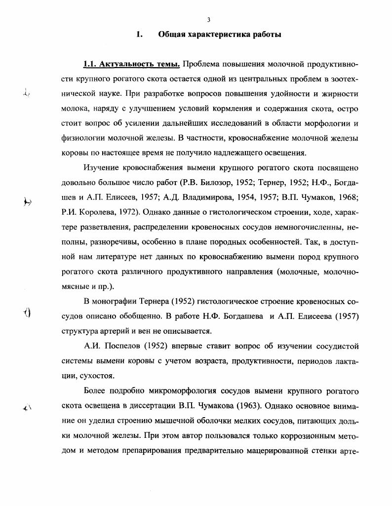 2.2. Сосудистая система вымени коровы. 