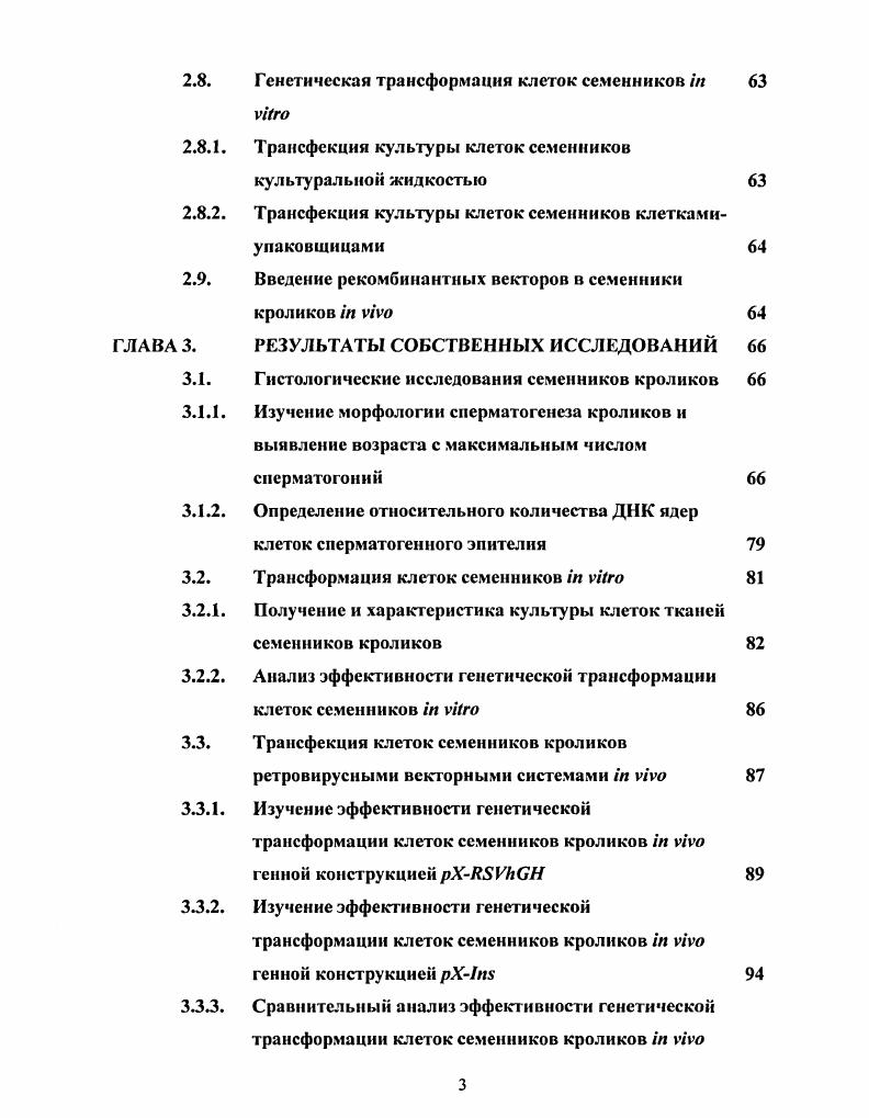 Типы клеток сперматогенного эпителия 