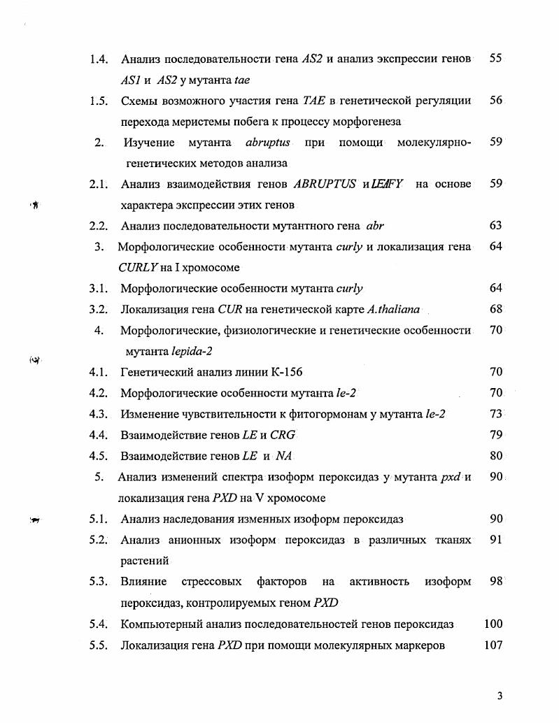 2. Влияние транспорта ауксинов на развитие побега 
