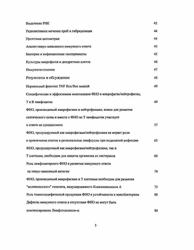 Роль ФНО в поддержании структуры вторичных лимфоидных органов 