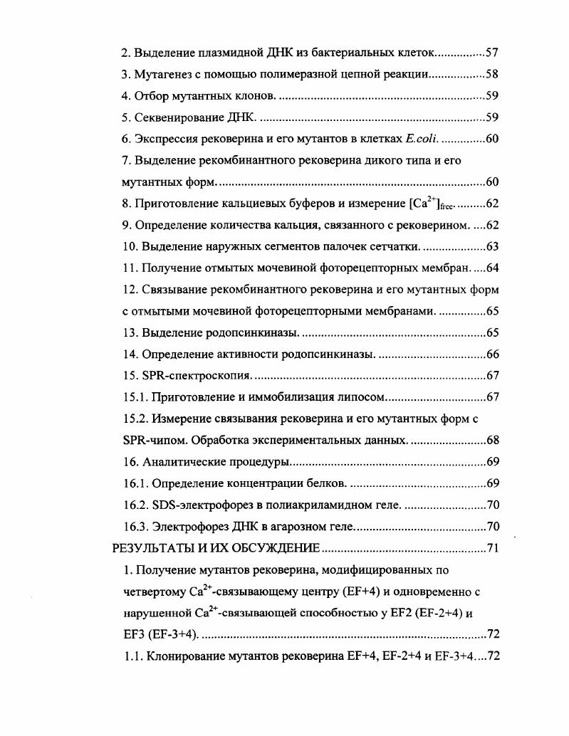 1.1. Строение глаза, сетчатки и фоторецепторных клеток.