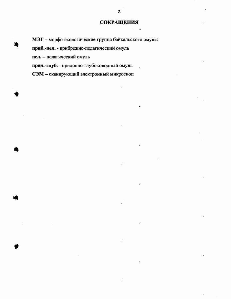 1.1. Строение чешуи эласмоидного типа.