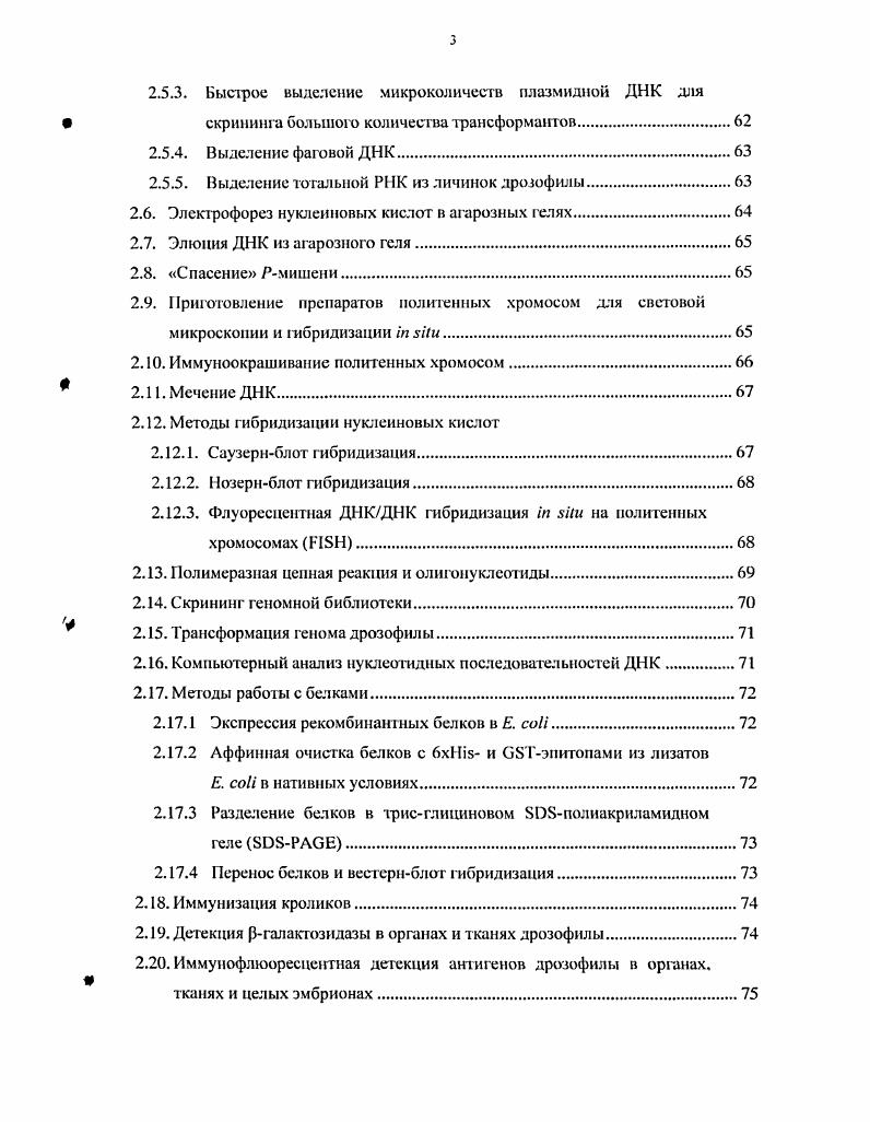 1.2. Морфологическая организация межднеков.