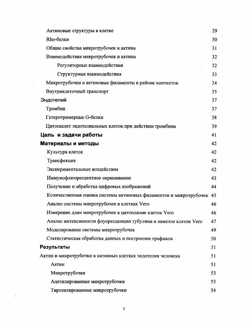 Белки, ассоциированные с микротрубочками 