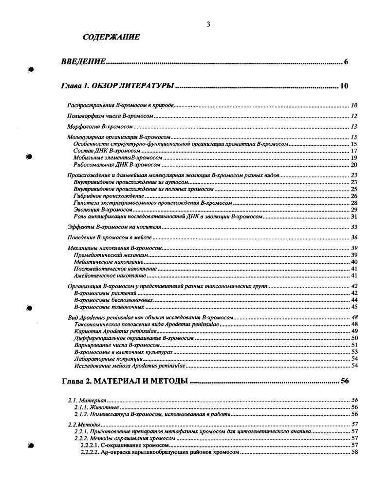 Молекулярная организация Вхромосом.