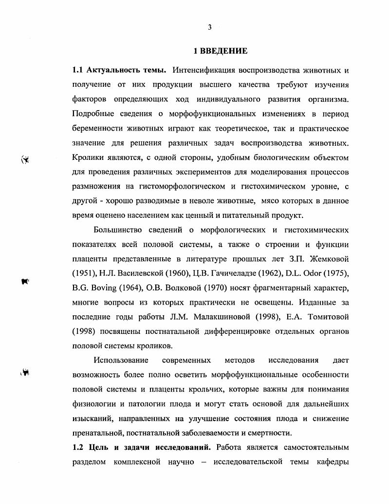 Особенность кроликов высокая плодовитость и скороспелость. Их разводят для многоцелевого использования позволяют получать в короткие сроки дешевое меховое сырье, пух, кожу и диетическое мясо, не уступающее по питательности куриному. Диетическое мясо кроликов и изделия из кроличьего меха пользуются повышенным спросом, что позволяет кролиководство считать перспективным и выгодным делом Приступа В. Н., . Половая зрелость у кроликов наступает уже с 3,5 4,5 месячного возраста. Но случать их в этом возрасте не рекомендуется, так как организм еще полностью не сформировался. Самок случают в 5 месячном возрасте, беременность у них длится один месяц и за один окрол они приносят, в среднем, по 8 крольчат Помытко В. Н.С. И.С. Минина сообщает, что молодняк впервые пускают в случку по окончании роста и развития, т. Молодняк отсаживают в возрасте ,5 месяца, после чего самку опять случают. От хорошей самки можно получить за 5 6 окролов до крольчат, или кг мяса в год, что превышает ее собственный вес в раз. Овуляция у крольчих провоцированная, осуществляется после спаривания через часов. Провоцированная овуляция не исключает обратной связи между яичником и гипофизом. Однако предовуляторное высвобождение гонадотропина и спонтанная овуляция отсутствуют в естественную течку. Причинами этого явления является недостаточная продукция гонадотропинов гипофизом и низкий уровень прогестинов в крови в эструсе Литвинова Л. Ф., . У изолированной от самца крольчихи, несмотря на эструс, овуляция не наступает. В этом случае фаза эструса у нее сохраняется длительное время пока не произойдет спаривание. В обычных условиях лишь спаривание приводит к овуляции. Афферентные импульсы, возникшие при коитусе, поступают в гипоталамус, где стимулируют нейросекреторные клетки к выделению в воротную систему гипофиза рилизинг факторов, вызывающих секрецию лютеинизирующего гормона Хэм А. Кормак А. Кролик является животным с влагалищным типом осеменения. Процесс капацитации спермиев в половых путях крольчих происходит в течение часов. Яйцеклетка остается способной к оплодотворению после выхода из яичника часов Карпов В. А., . Е.Ф. Поликарпова , З. А. Руткис отмечают, что у кролика наибольшая интенсивность размножения приходится на весенние летние месяцы. У крольчих готовность к спариванию рецептивность уменьшается на ранних стадиях беременности и достигает максимума за несколько дней до родов, на 1 6 день после родов все самки рецептивны. У самок рецептивность сохраняется даже при высоком уровне прогестерона в крови. Половые органы самок делят на наружные и внутренние. К наружным половым органам самок относятся половые губы, клитор и преддверие влагалища, к внутренним собственно влагалище, шейка матки, матка, яйцеводы и яичники. Половая система грызунов имеет типичное для млекопитающих строение. Если не считать различий в количестве сосков у самок, которое может у особей одного вида колебаться от 8 до и даже больше. Характерное отличие половых органов крольчих заключается в наличие у них двух самостоятельных маток, открывающихся двумя шейками. Обе шейки выступают во влагалище в виде небольших возвышений. Каждая матка начинаясь от соответствующей шейки, простирается краниально и образует небольшие полупстли, подвешенные на широкой маточной связке. От верхушек рогов отходят слабо заметные яйцепроводы. Яичники крольчих овальной формы, величиной от горошины до боба, у половозрелых животных они всегда имеют неровную фолликулы и желтые тела поверхность Студенцов А. П., Шипилов , . Влагалище vi представляет собой значительной величины полую мышечную трубку, с толстыми стенками, служащую для приема эякулята, и родовым путем. Влагалище подразделяется на две части, совершенно различные по происхождению передний большой по величине участок, образующийся за счет слияния самых конечных участков мюллеровых протоков собственно влагалище vi i и задний короткий участок, оканчивающийся половой щелью, образующийся за счет мочеполового синуса и представляющий собой мочеполовой путь преддверие влагалища vi vi. 