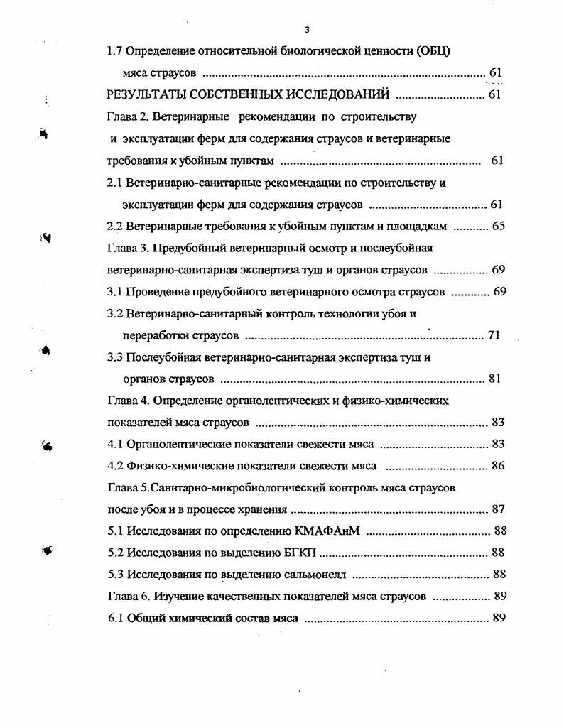 1.1 История хозяйственного использования страусов 