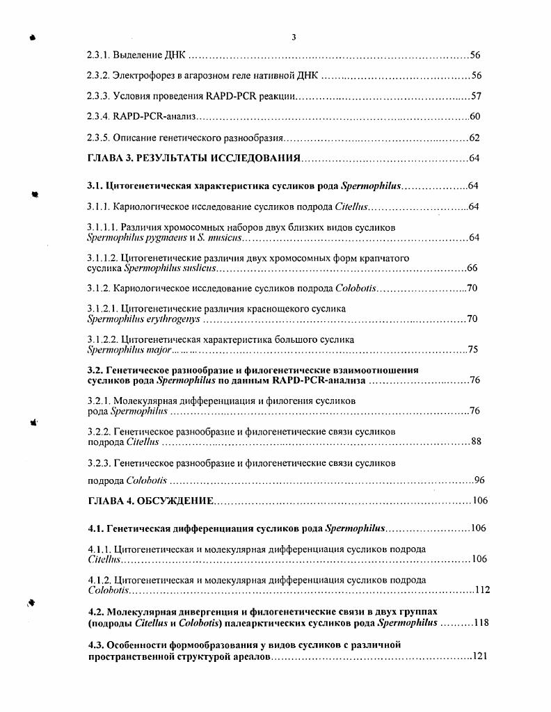 Подрод Пустынностенные суслики i , .