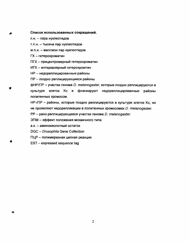 2. ГЕТЕРОХРОМАТИН В ПОЛИТЕННЫХ ХРОМОСОМАХ
