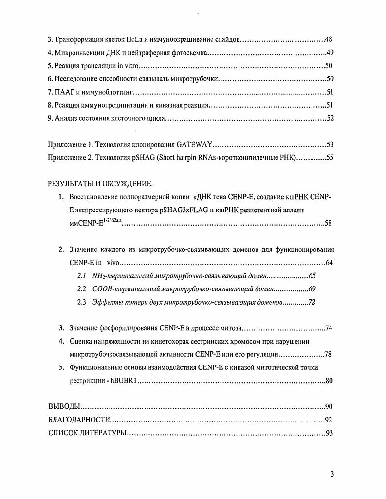 1.1 Организация митотического веретена деления.