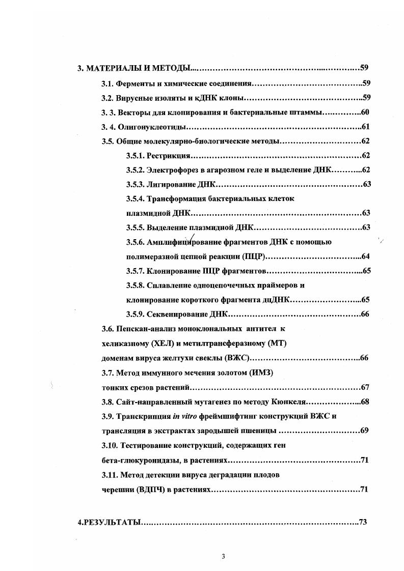 2.1.3. Ферменты кепнрования и метилирования.