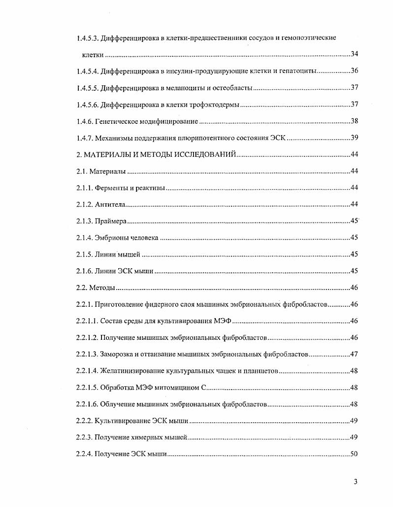 1.2.1. Стволовые клетки костного мозга