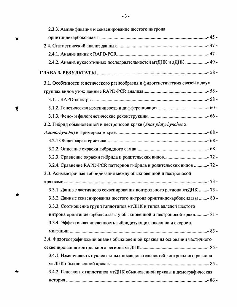 1.2. Надвидовой комплекс обыкновенной кряквы 