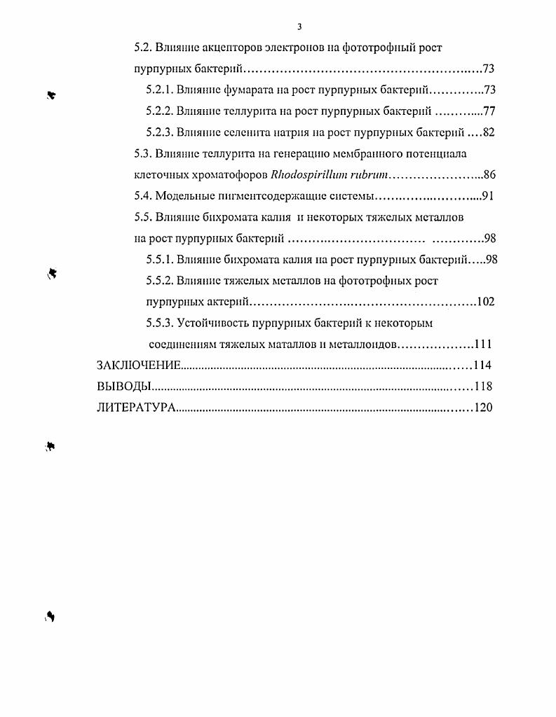 1.1. Место пурпурных бактерий среди фототрофных микроорганизмов
