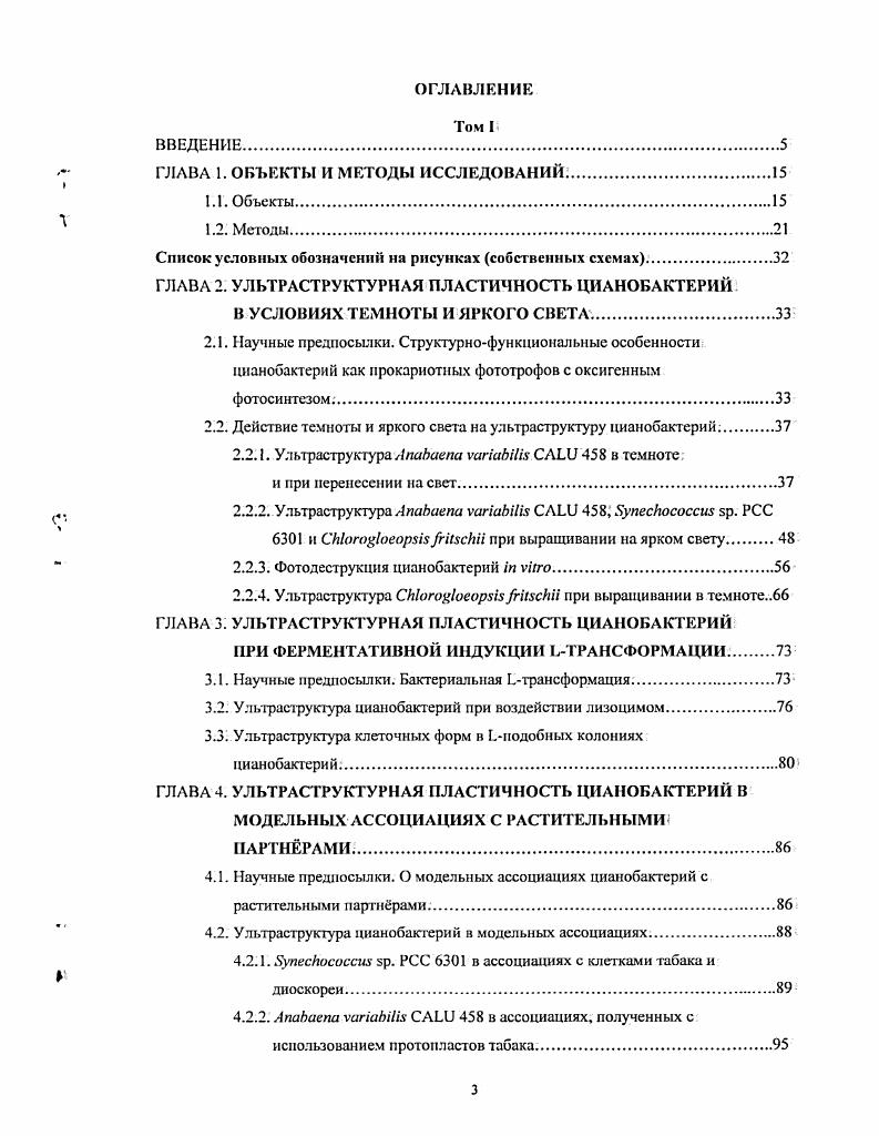ГЛАВА 2. УЛЬТРАСТРУКТУРНАЯ ПЛАСТИЧНОСТЬ ЦИАНОБАКТЕРИЙ